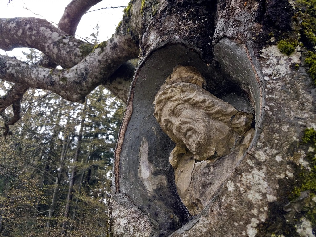 Balzer Herrgott-Internet